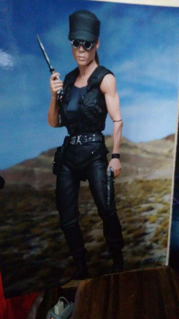 NECA Toys....... Terminator 2: Judgement Day Sarah Connor | Toys Amino