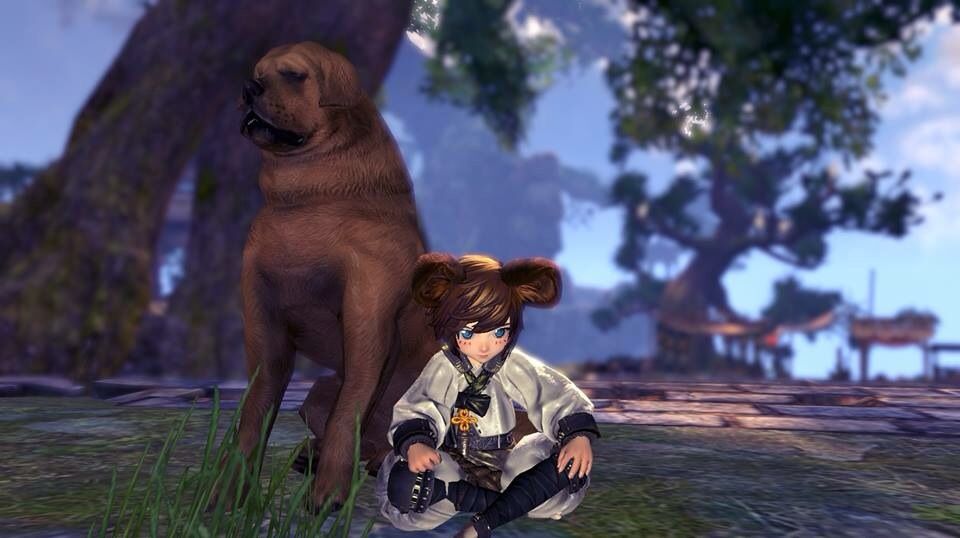 blade and soul pets list