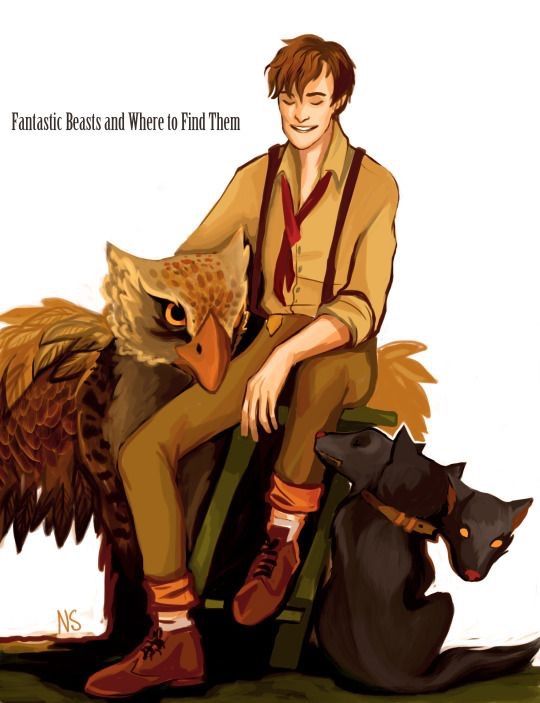 Newton Scamander | Harry Potter Amino