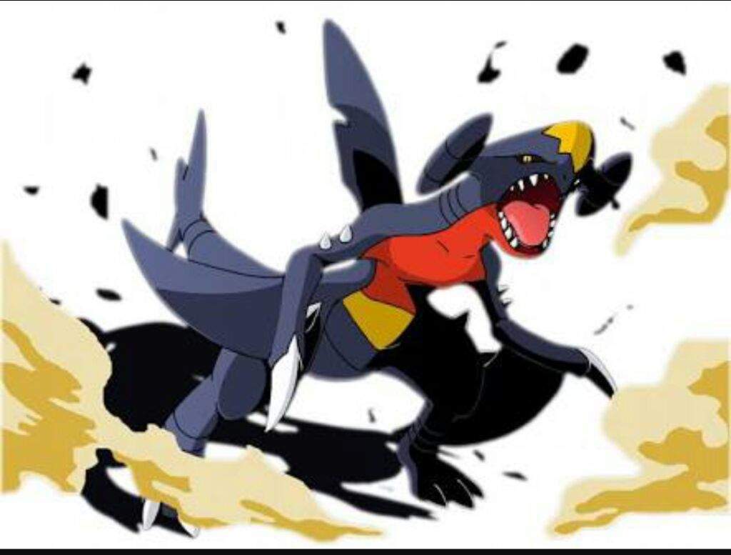 garchomp shodo