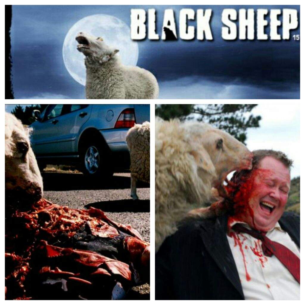 black sheep 2006