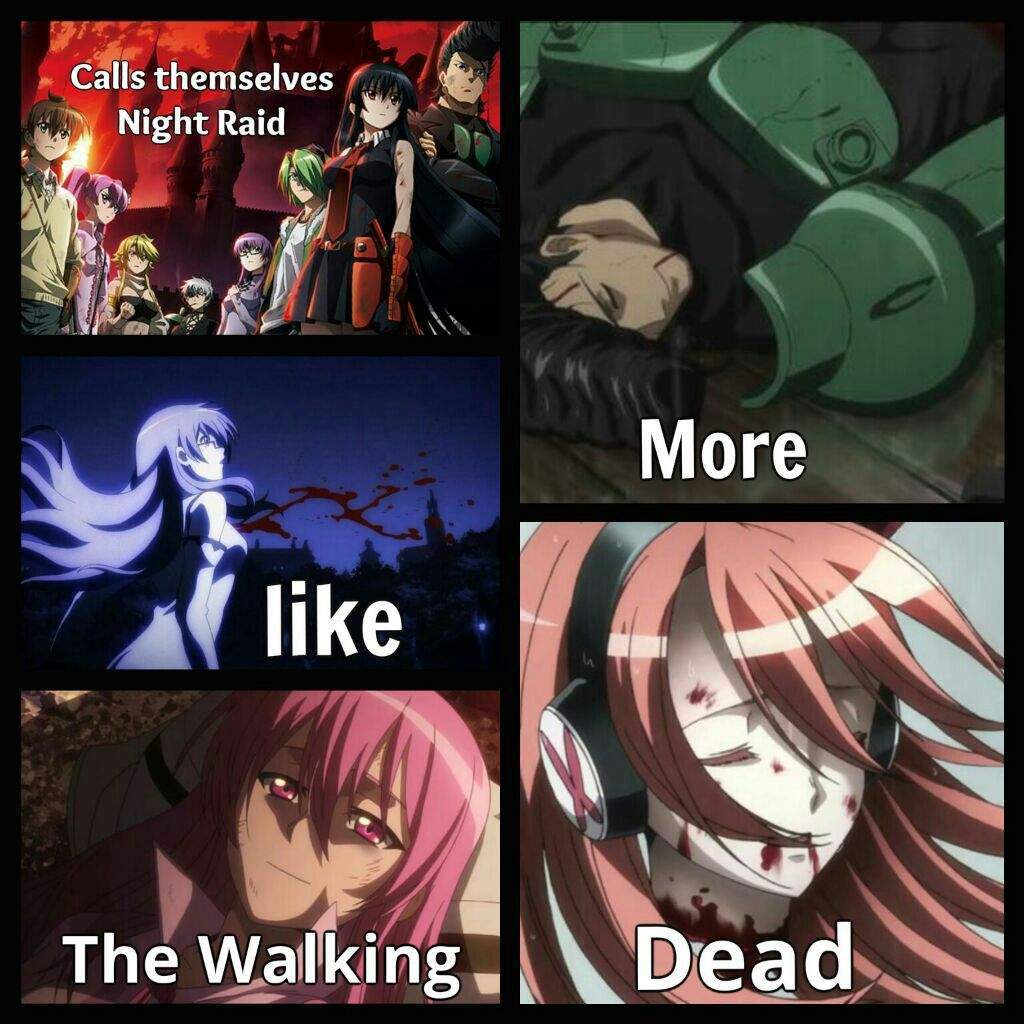 Akame Ga Kill Meme SPOILER Anime Amino