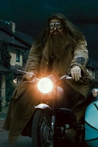 hagrid rubeus harry potter