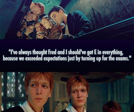 The Weasley Twins - Fred And George 