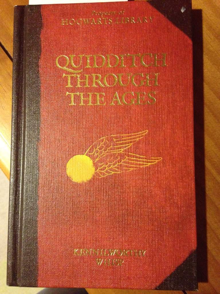 quidditch through the ages book