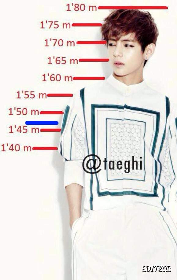 Bts Height Comparison - BTS 2020