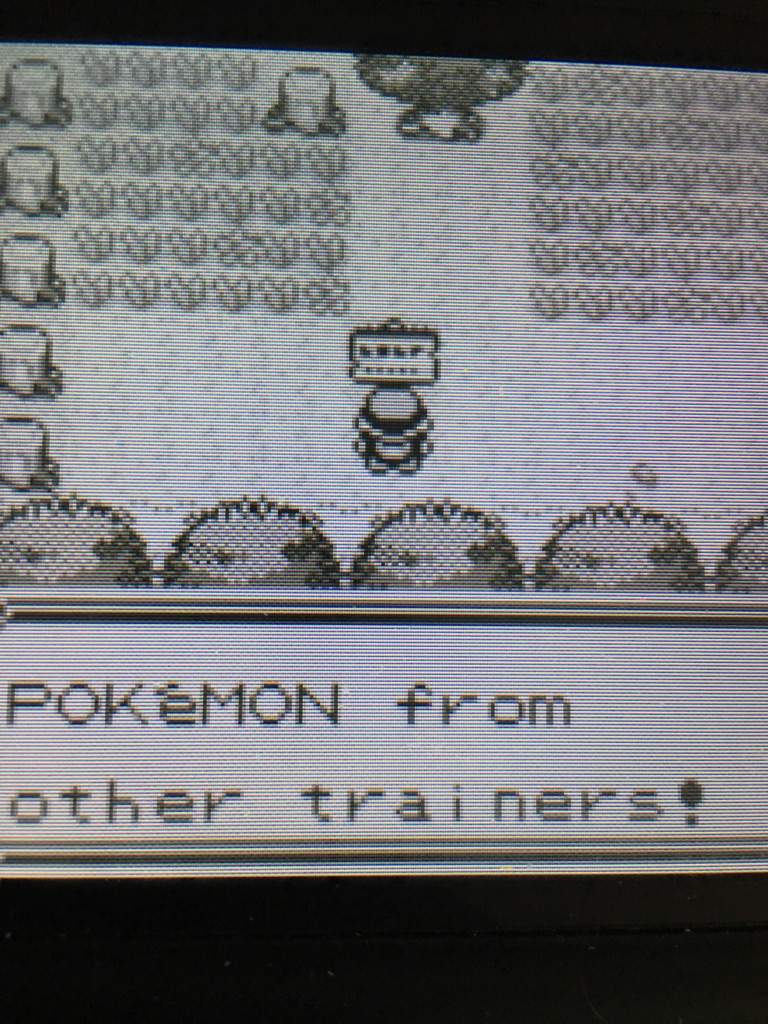 pokemon red save file before brock
