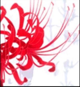 The Red Spider Lilies | Anime Amino