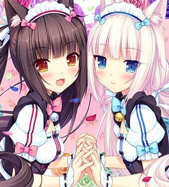 chocola and vanilla | Anime Amino