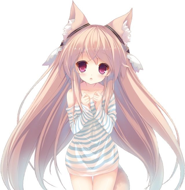 what is a wolf neko called