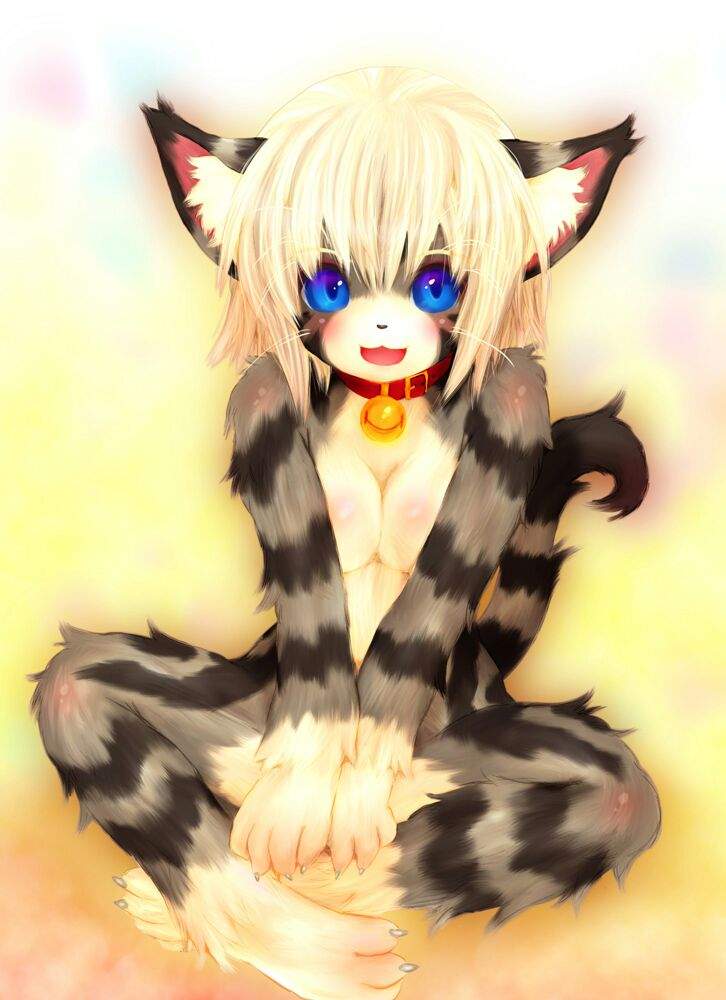 Cute Cat Girl Furry Porn - Karin Figure (Kemono/Furry/Catgirl) | Anime Amino