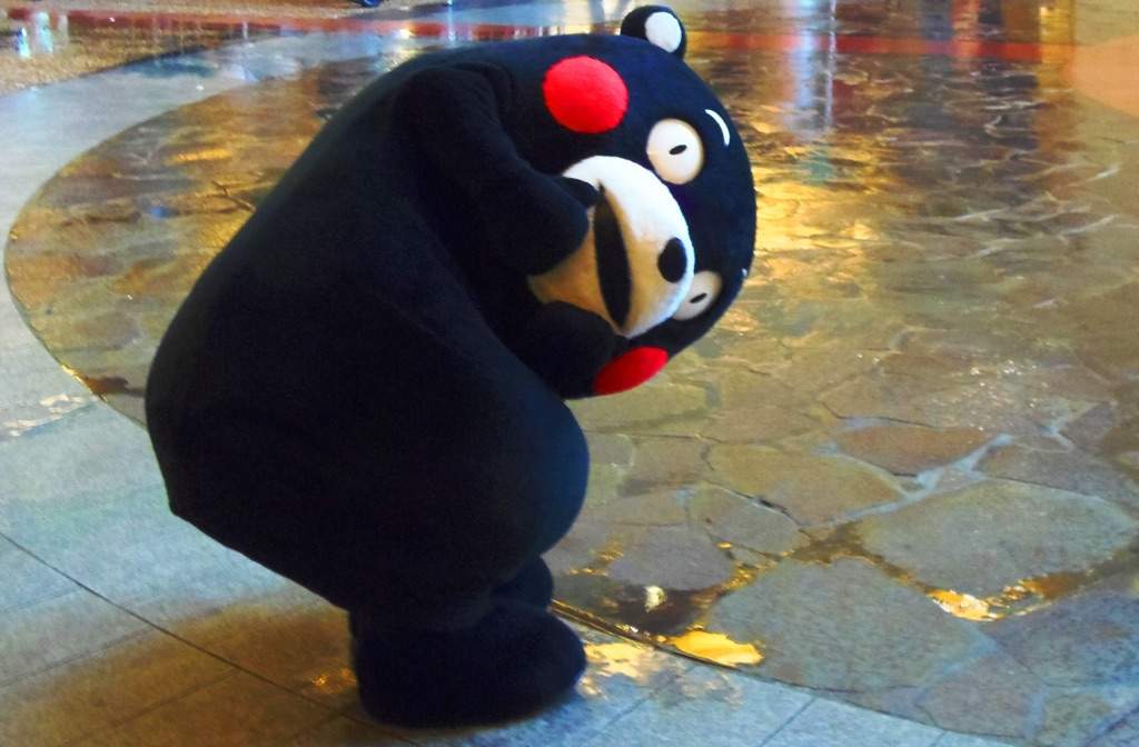 kumamon plushie