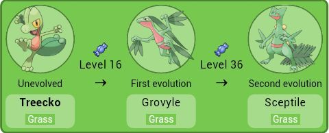 My Favorite Starter Pokemon Pokemon Amino