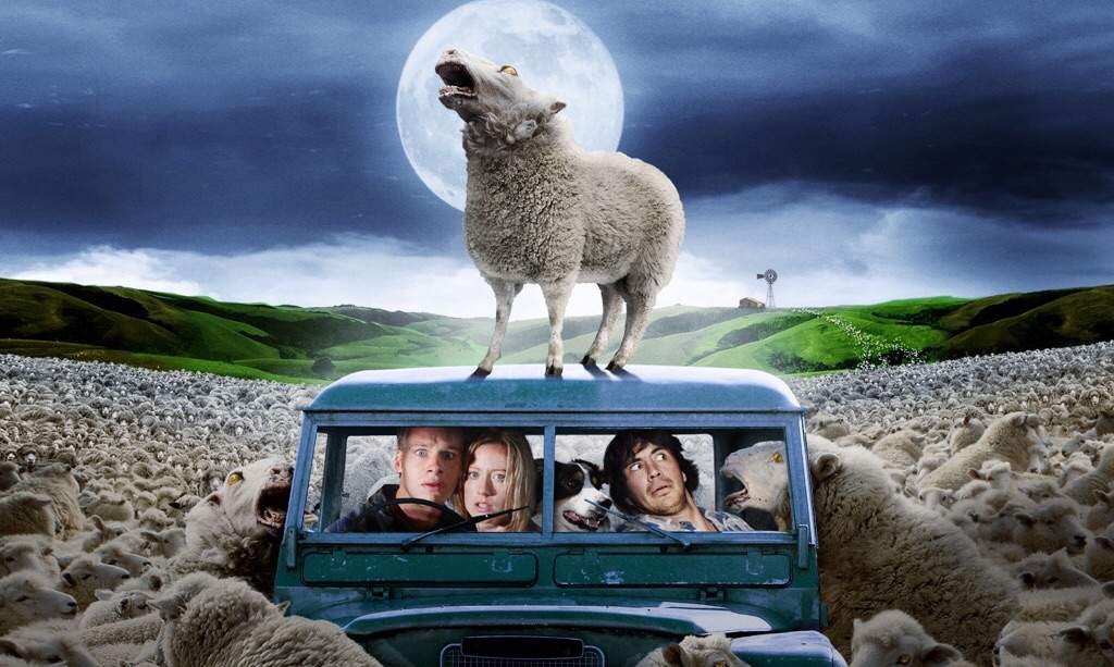 Download video the black sheep movie rviews videos