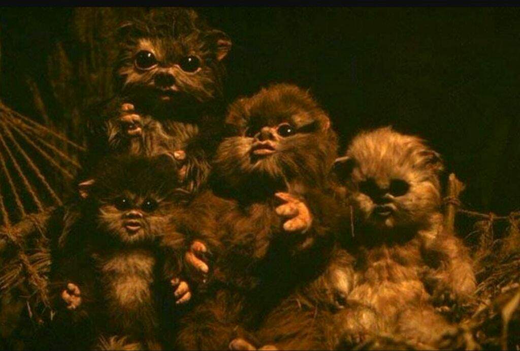 Ewoks Wiki Star Wars Amino