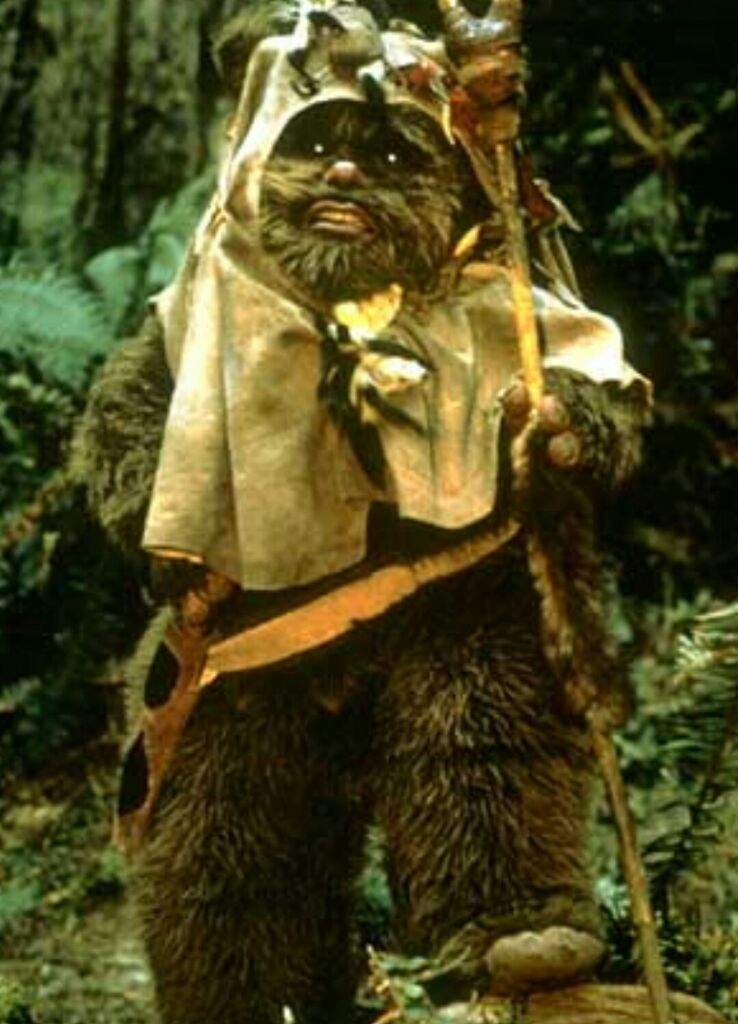 ewok big feet