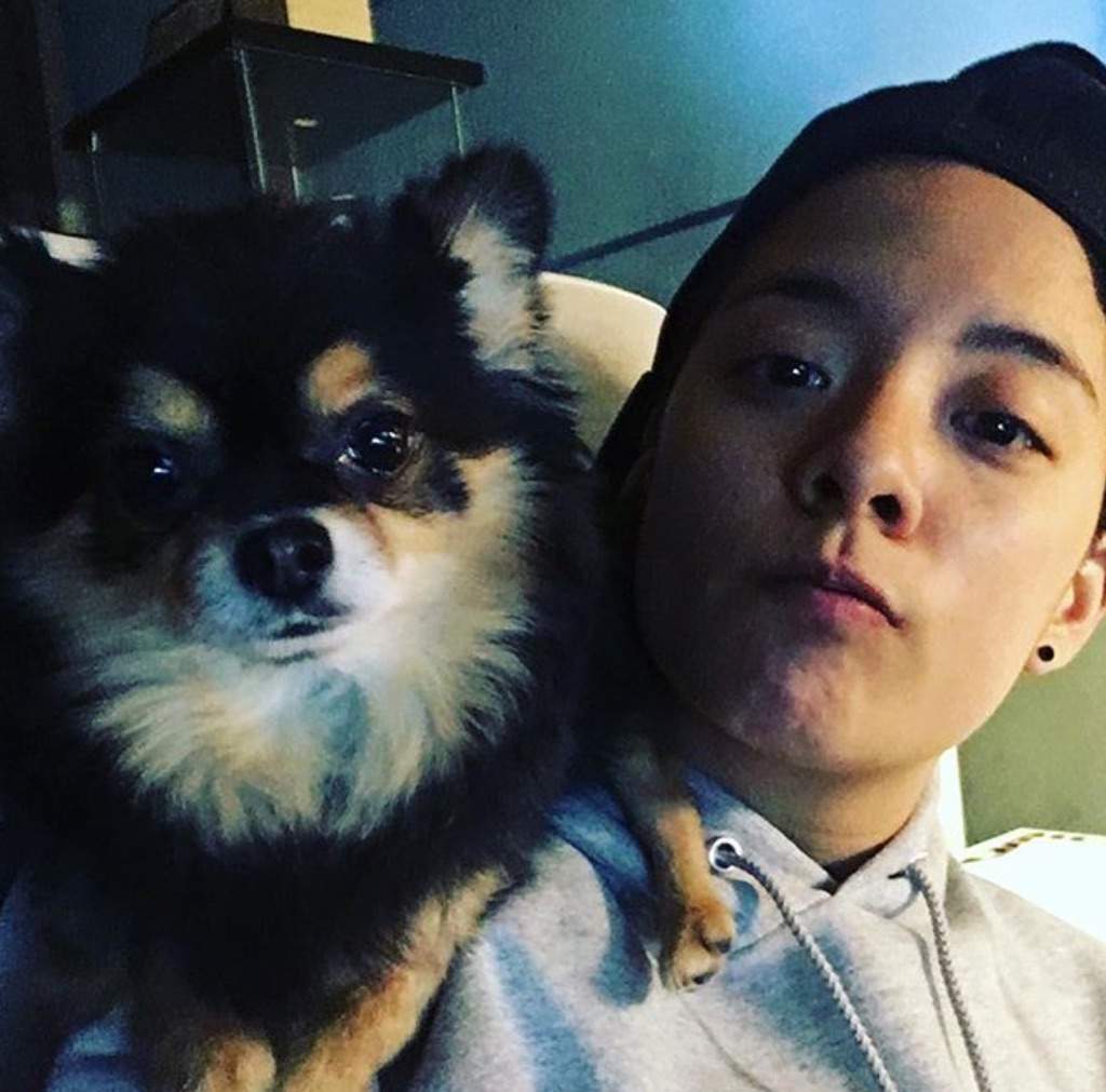 Best Kpop Stars With Their dog | K-Pop Amino