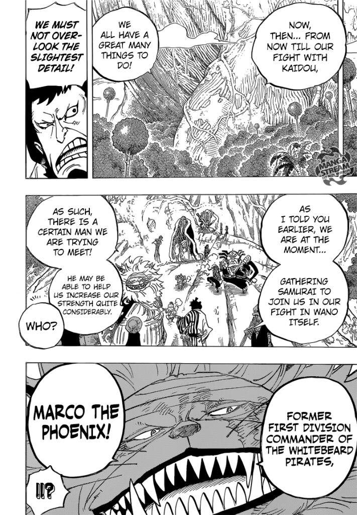 One Piece Chapter 820 Review | Anime Amino