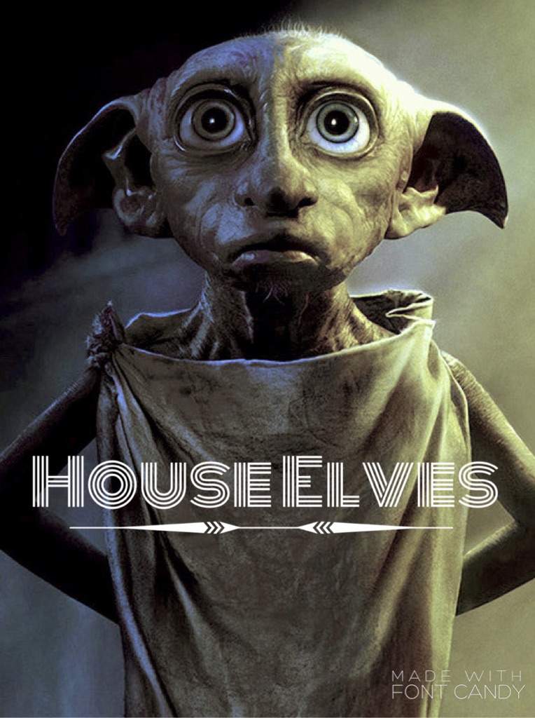 House Elves! | Harry Potter Amino
