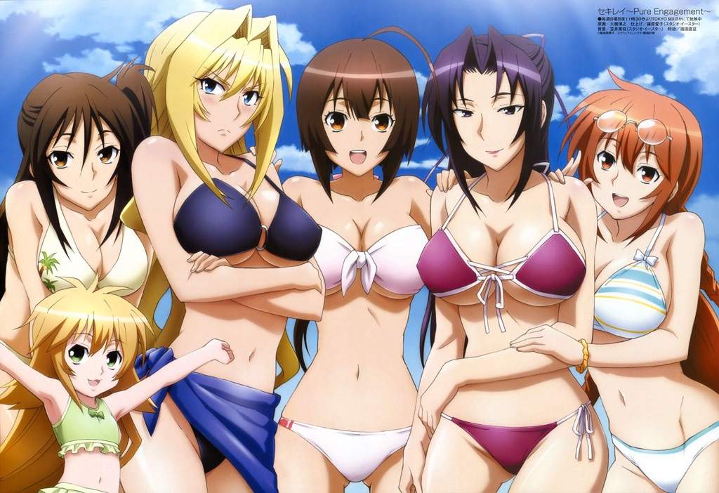 Hasil gambar untuk sekirei