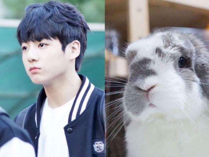 Meet Jeon Jungkook's Little Siblings | K-Pop Amino