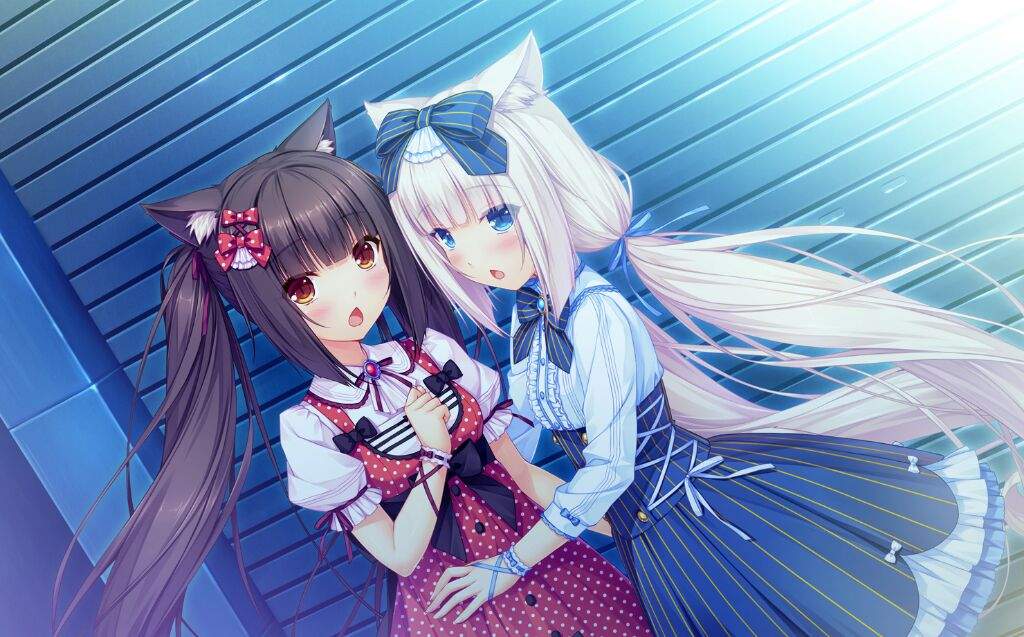 Catgirls ♡-♡ | Wiki | Anime Amino