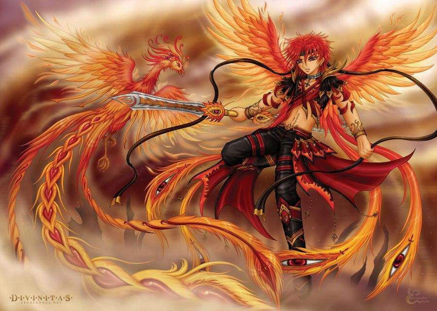 anime fenix