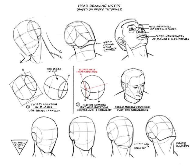 Drawing Tutorial-Head | Wiki | Art Amino