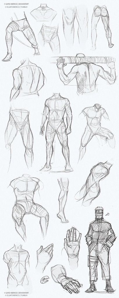 men drawing anatomy