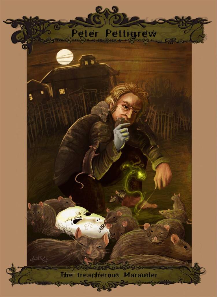 peter pettigrew pop vinyl