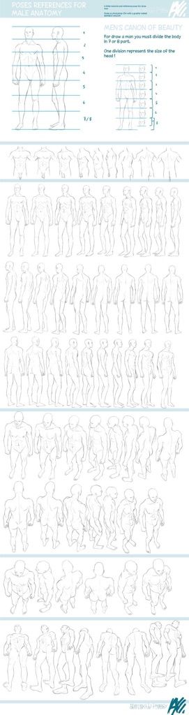 Male Anatomy-Drawing Tutorial | Wiki | Art Amino