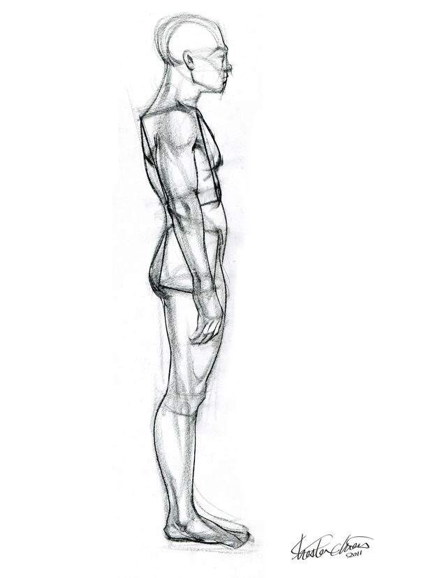 Male Anatomy Drawing Tutorial Wiki Art Amino   D7f08762698bbc7bdc32e13f61451212a2a51f04 Hq 