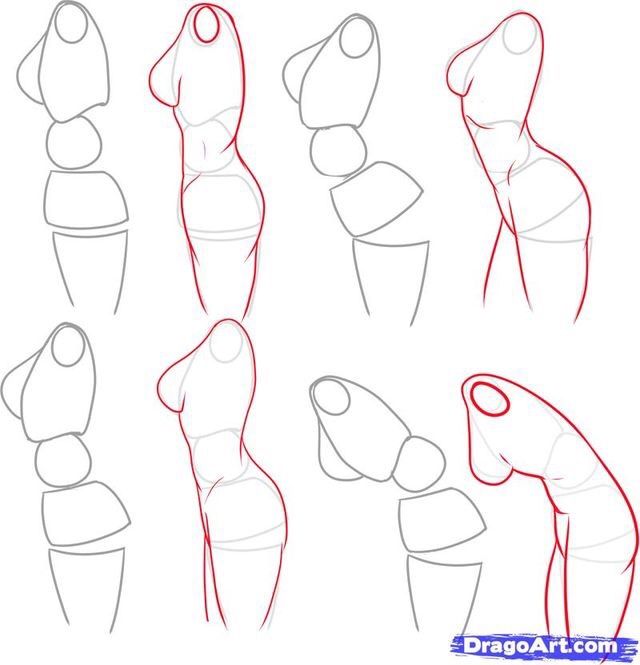 Female Anatomy-Drawing Tutorials | Wiki | Art Amino