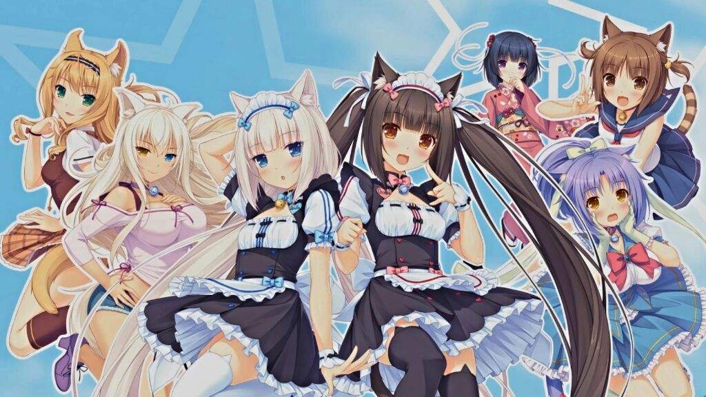 Meet The Minaduki Girls🎉 | Neko Amino