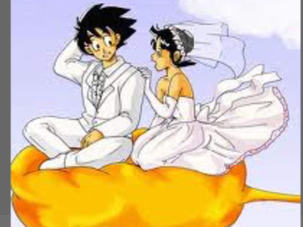 Goku And Chichi Wedding Photos Anime Amino