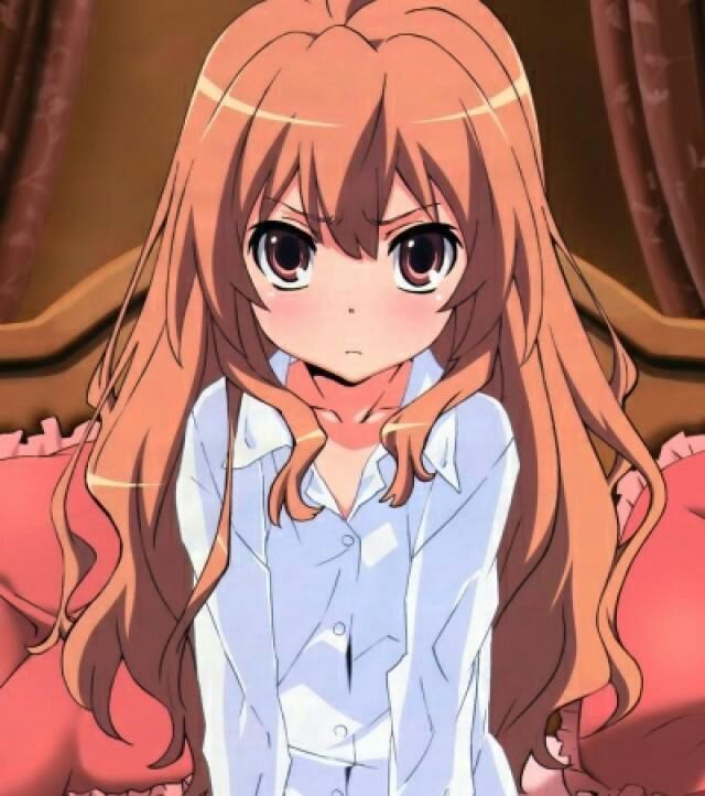 Taiga | Wiki | •Anime• Amino