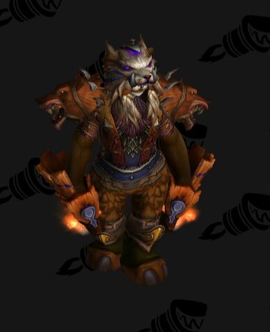 Transmog: Five Fang Fei (original) Enhancement Shaman | WoW Amino