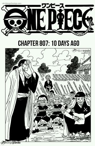 One Piece Zou Arc Manga Chapter 808 Anime Amino