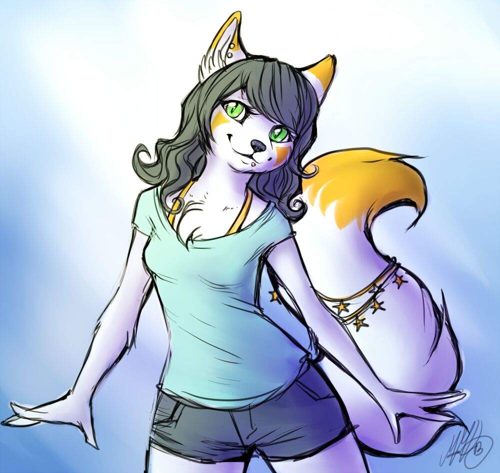 Furry Vs Neko Neko Amino