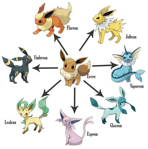 Infinite Game Pokemon Eevee Evolution Results K Pop Amino