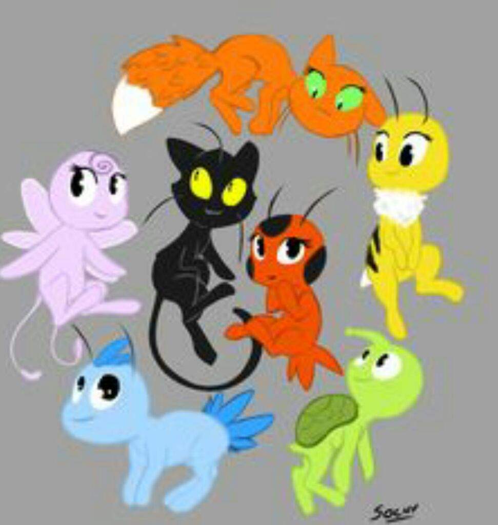WHO IS THE BEST KWAMI?!?!? Cartoon Amino