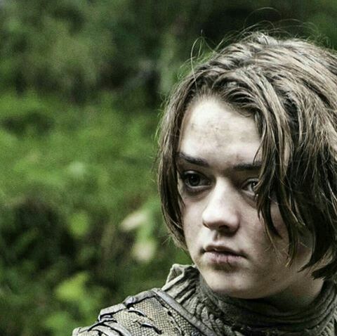 I strongly disagree with anyone who believes that there’s no way Arya ...