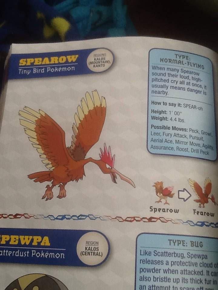 official pokemon handbook 3