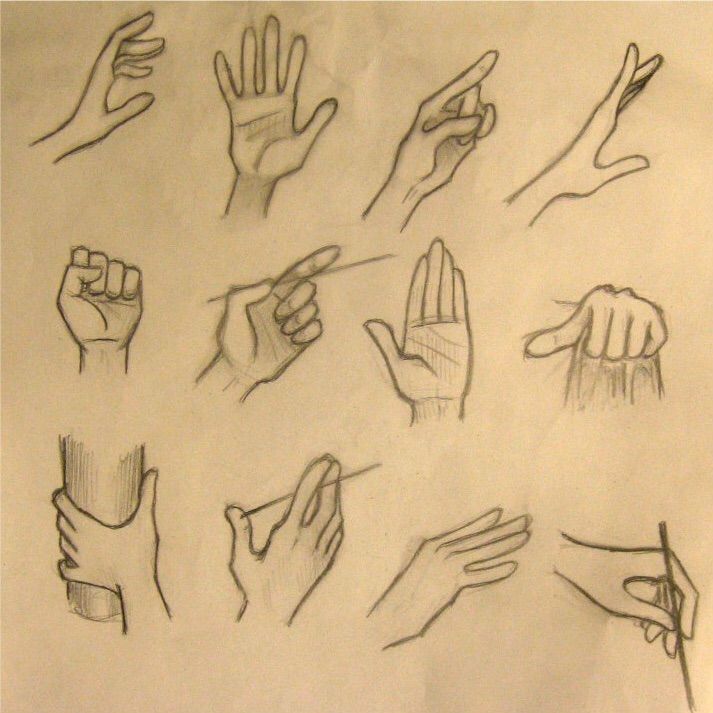 Hand References | Wiki | Art Amino