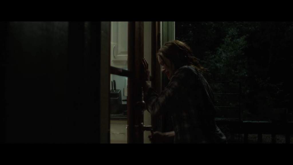 Hush (2016) Movie Review Horror Amino