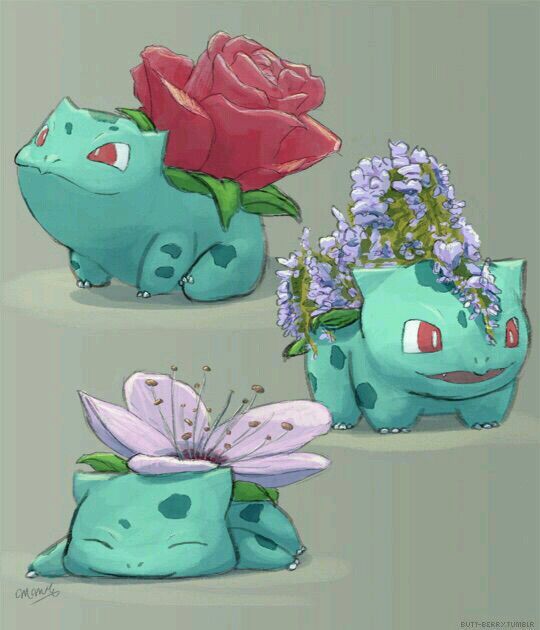 Is Bulbasaur a cute Pokémon? | Anime Amino