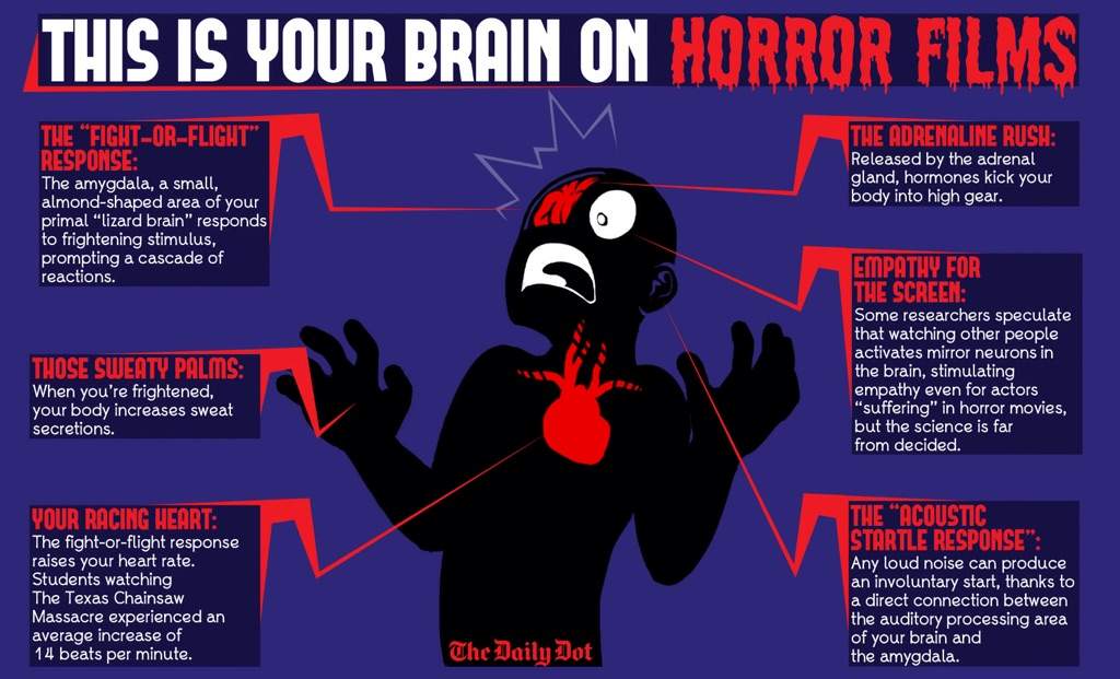 this-is-your-brain-on-horror-horror-amino