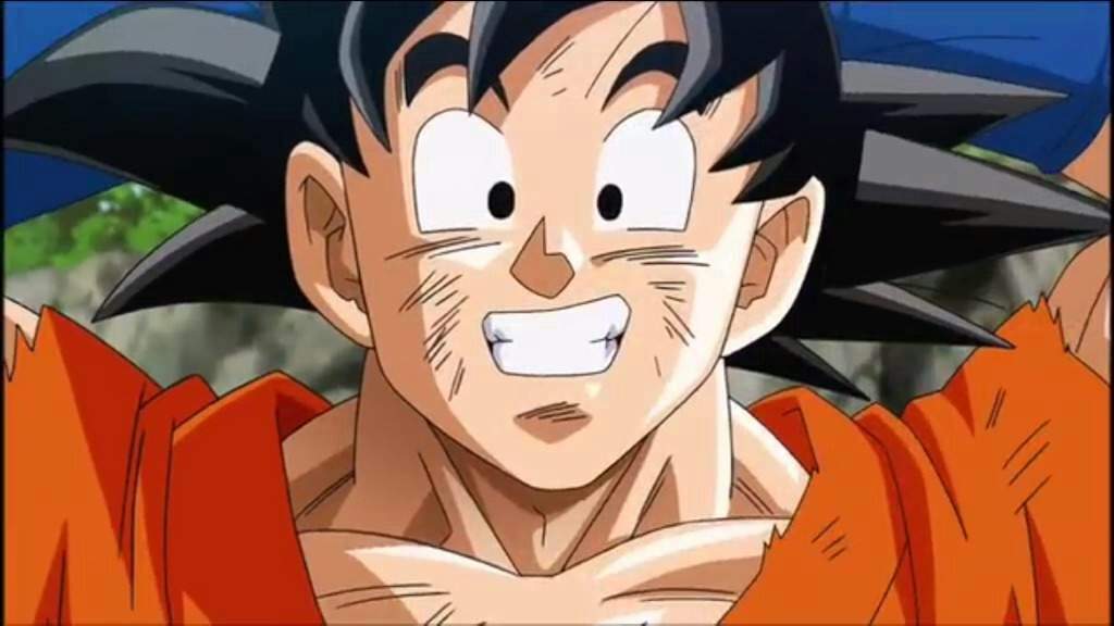 Songoku | Wiki | DragonBallZ Amino