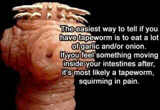 Tapeworm | Horror Amino