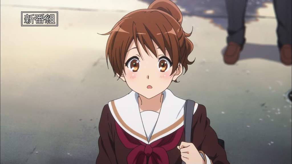 Animation Studios Bear Talk 1 Anime Amino